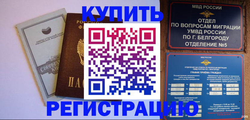 прописка гарантия в Стародубе